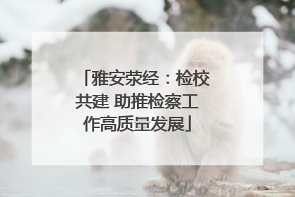 雅安荥经：检校共建 助推检察工作高质量发展