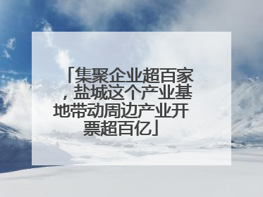 集聚企业超百家，盐城这个产业基地带动周边产业开票超百亿
