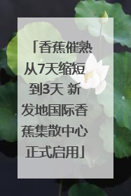 香蕉催熟从7天缩短到3天 新发地国际香蕉集散中心正式启用