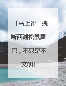 马上评｜拽断西湖松鼠尾巴，不只是不文明