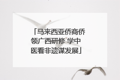 马来西亚侨商侨领广西研修 学中医看非遗谋发展