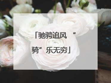 驰骋追风 “骑”乐无穷