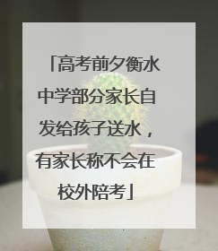 高考前夕衡水中学部分家长自发给孩子送水，有家长称不会在校外陪考