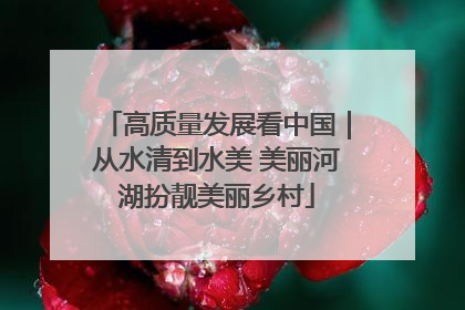 高质量发展看中国｜从水清到水美 美丽河湖扮靓美丽乡村