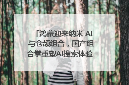 鸿蒙迎来纳米 AI 与仓颉组合，国产组合拳重塑AI搜索体验｜新经济观察