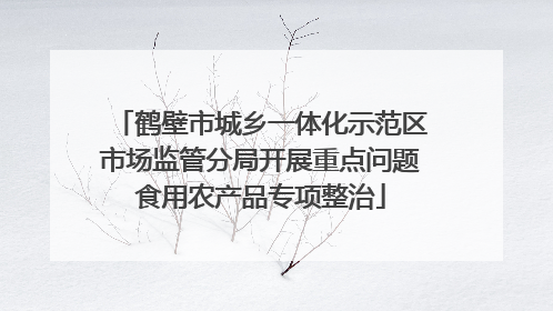 鹤壁市城乡一体化示范区市场监管分局开展重点问题食用农产品专项整治