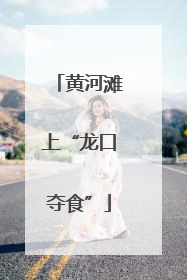 黄河滩上“龙口夺食”