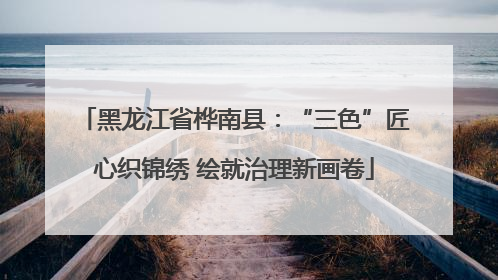 黑龙江省桦南县：“三色”匠心织锦绣 绘就治理新画卷