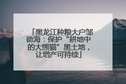 黑龙江种粮大户邹德海：保护“耕地中的大熊猫”黑土地，让增产可持续