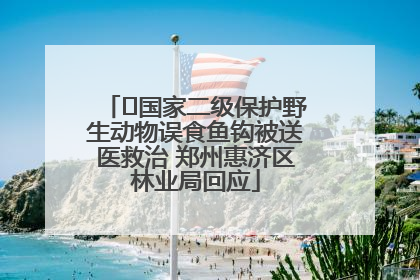 ﻿国家二级保护野生动物误食鱼钩被送医救治 郑州惠济区林业局回应