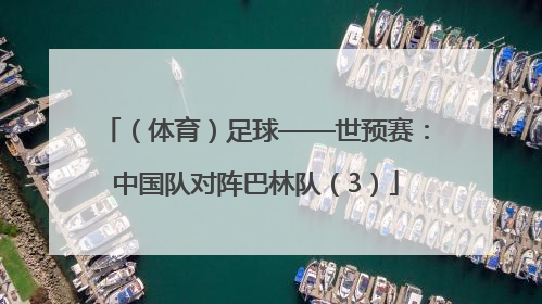 （体育）足球——世预赛：中国队对阵巴林队（3）