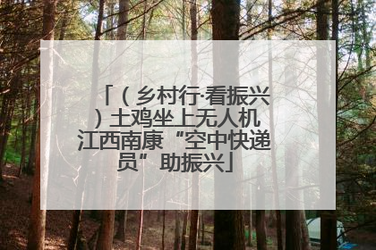 （乡村行·看振兴）土鸡坐上无人机 江西南康“空中快递员”助振兴