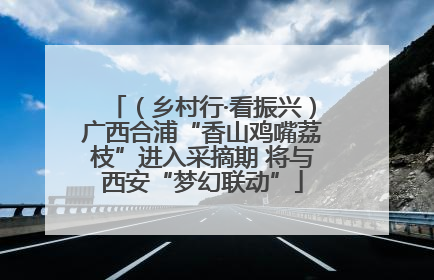 （乡村行·看振兴）广西合浦“香山鸡嘴荔枝”进入采摘期 将与西安“梦幻联动”