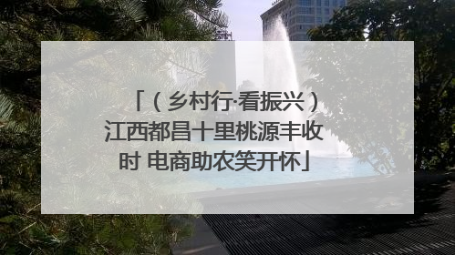 （乡村行·看振兴）江西都昌十里桃源丰收时 电商助农笑开怀
