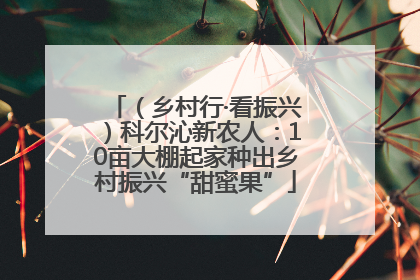 （乡村行·看振兴）科尔沁新农人：10亩大棚起家种出乡村振兴“甜蜜果”