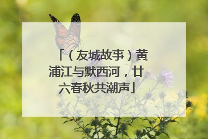 （友城故事）黄浦江与默西河，廿六春秋共潮声