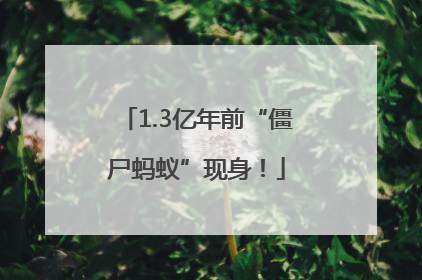 1.3亿年前“僵尸蚂蚁”现身！