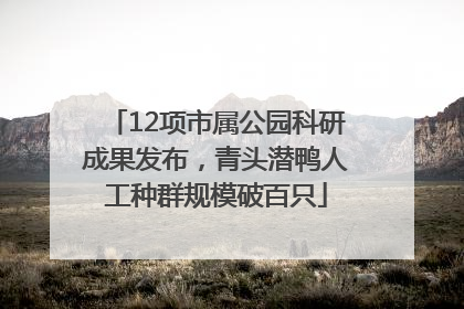 12项市属公园科研成果发布，青头潜鸭人工种群规模破百只