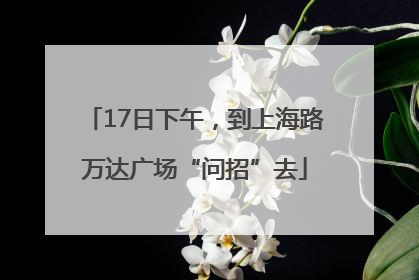 17日下午，到上海路万达广场“问招”去