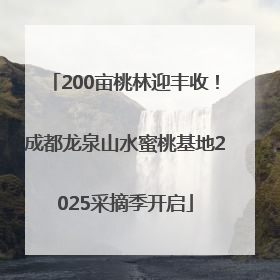 200亩桃林迎丰收！成都龙泉山水蜜桃基地2025采摘季开启