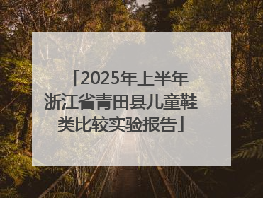 2025年上半年浙江省青田县儿童鞋类比较实验报告