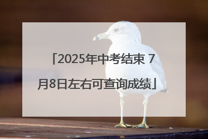 2025年中考结束 7月8日左右可查询成绩