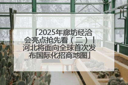 2025年廊坊经洽会亮点抢先看（二）丨河北将面向全球首次发布国际化招商地图
