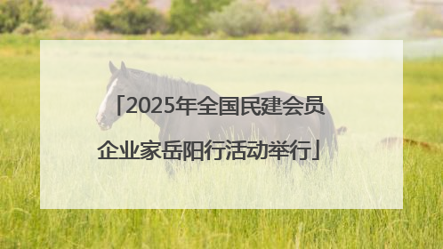 2025年全国民建会员企业家岳阳行活动举行