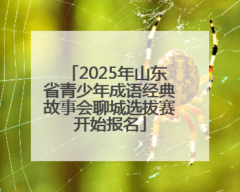 2025年山东省青少年成语经典故事会聊城选拔赛开始报名