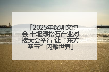 2025年深圳文博会·十堰绿松石产业对接大会举行 让“东方圣玉”闪耀世界