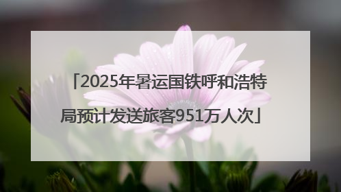 2025年暑运国铁呼和浩特局预计发送旅客951万人次