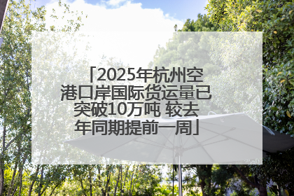 2025年杭州空港口岸国际货运量已突破10万吨 较去年同期提前一周