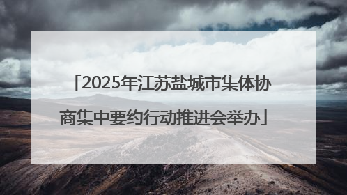 2025年江苏盐城市集体协商集中要约行动推进会举办