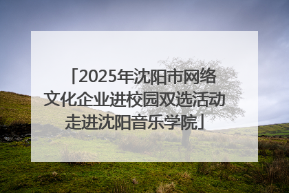 2025年沈阳市网络文化企业进校园双选活动走进沈阳音乐学院