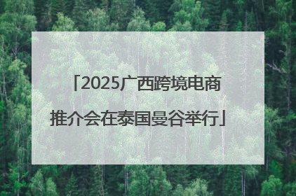 2025广西跨境电商推介会在泰国曼谷举行