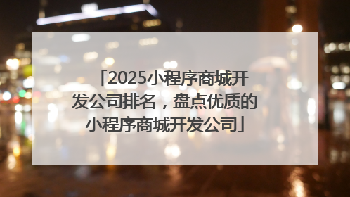 2025小程序商城开发公司排名，盘点优质的小程序商城开发公司