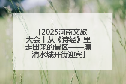 2025河南文旅大会丨从《诗经》里走出来的景区——溱洧水城开街迎宾