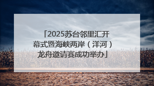 2025苏台邻里汇开幕式暨海峡两岸（洋河）龙舟邀请赛成功举办
