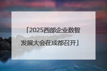 2025西部企业数智发展大会在成都召开