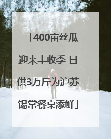 400亩丝瓜迎来丰收季 日供3万斤为沪苏锡常餐桌添鲜