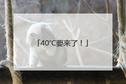 40℃要来了！