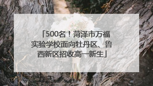 500名！菏泽市万福实验学校面向牡丹区、鲁西新区招收高一新生