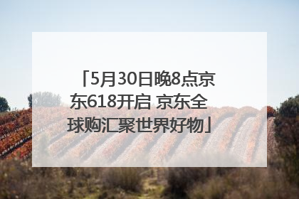 5月30日晚8点京东618开启 京东全球购汇聚世界好物