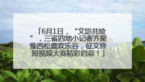 6月1日，“文影共绘”，三省四地小记者齐聚豫西松鹿欢乐谷，征文暨短视频大赛精彩启幕！