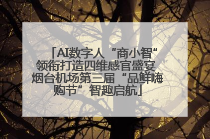 AI数字人“商小智”领衔打造四维感官盛宴 烟台机场第三届“品鲜嗨购节”智趣启航
