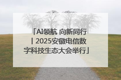 AI领航 向新同行丨2025安徽电信数字科技生态大会举行