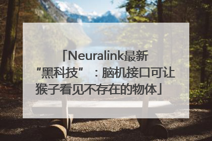 Neuralink最新“黑科技”：脑机接口可让猴子看见不存在的物体